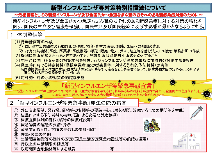 内閣府インフルエンザ資料